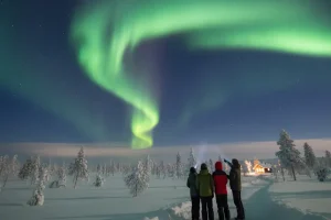 Vibrant green Aurora Borealis lights shimmering intensely over a vast, snow-covered landscape with scattered pine trees in Arctic Finland, perfectly illustrating the magic of the polar winter.