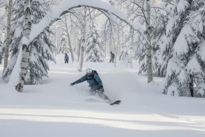 A snowboarder deep in powder snow while tree skiing in the quiet, forested terrain of Furano, Hokkaido.