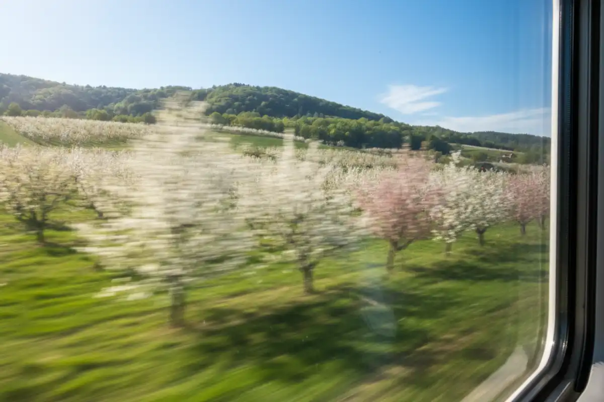 Spring Travel on a Tight Schedule: Quick Escapes