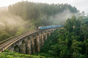 The iconic Nine Arch Bridge in Ella surrounded by dense tropical jungle and vibrant emerald green tea bushes under a soft morning mist
